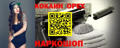 гашик Можга
