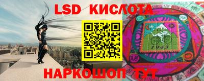 гашик Можга