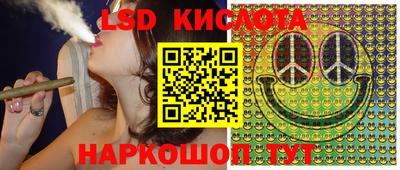 гашик Можга