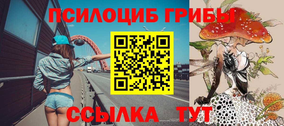 Псилоцибиновые грибы MAGIC MUSHROOMS Подольск